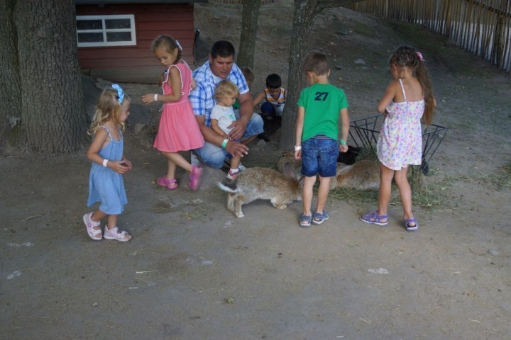 MBD Parken Zoo Eskilstuna (85)