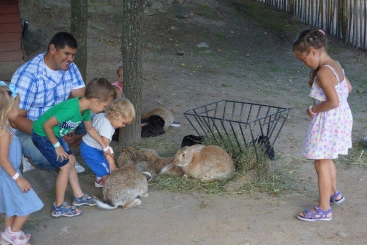 MBD Parken Zoo Eskilstuna (87)