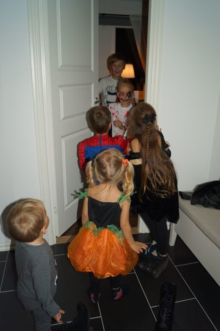 HALLOWEEN 2015 (142)