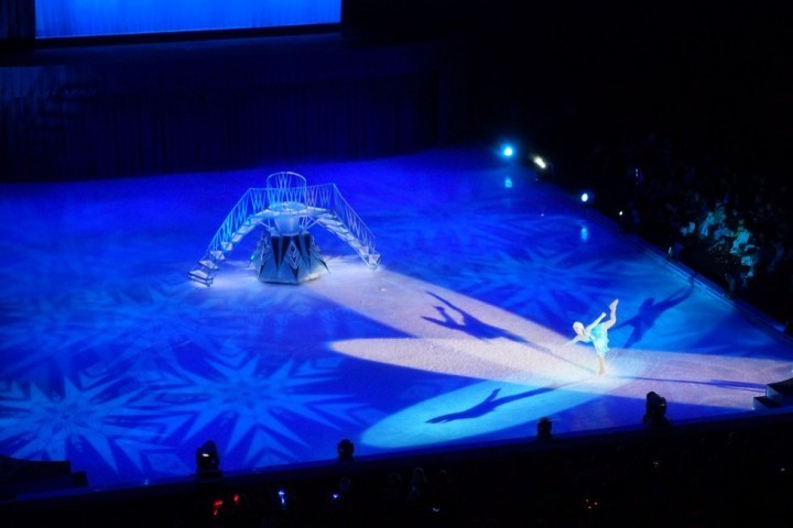 Disney on ice 2016 (3)