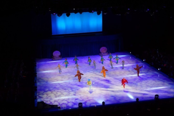 Disney on ice 2016 (6)