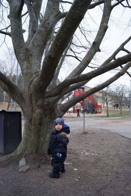 Eskilsparken (14)