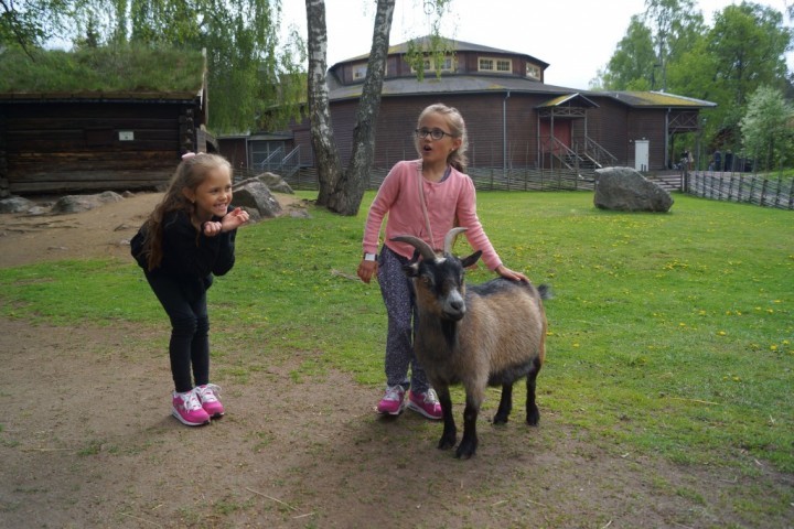 Furuviks premiär 2016 (168)