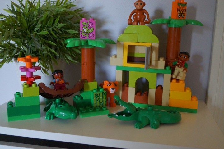 Lego Duplo (41)