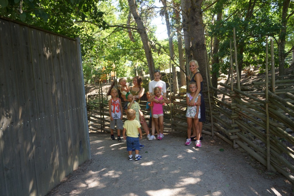 Parken Zoo (121)