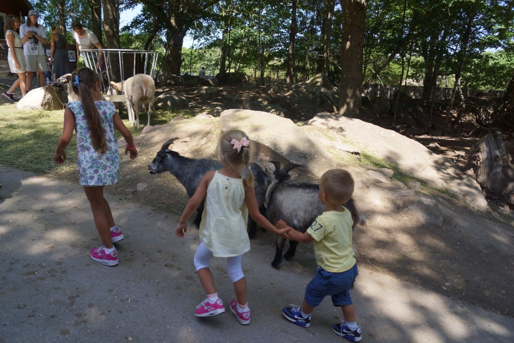 Parken Zoo (157)