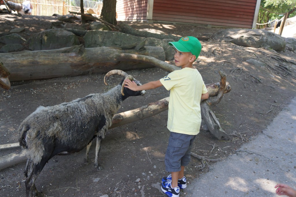 Parken Zoo (159)