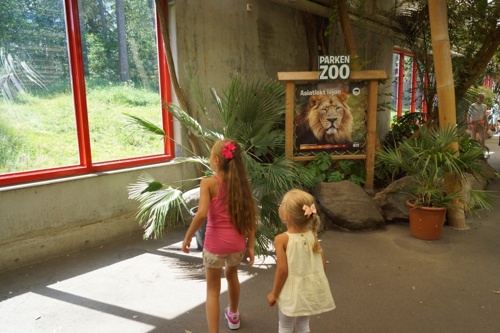 Parken Zoo (17)