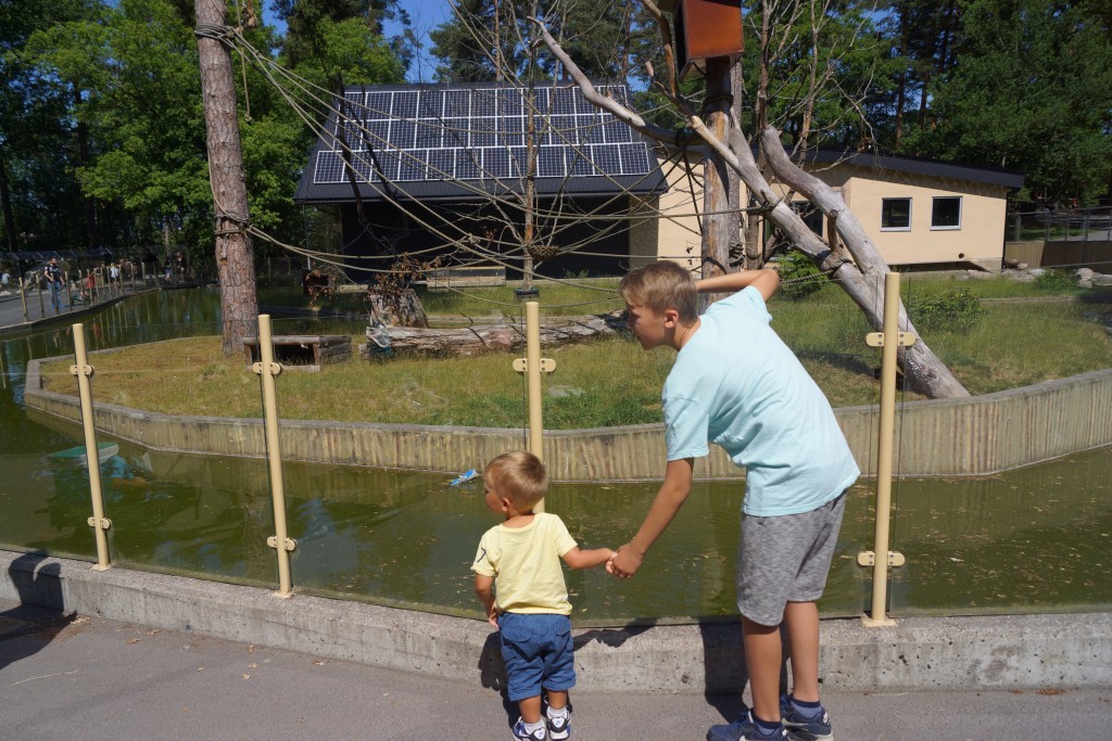 Parken Zoo (184)