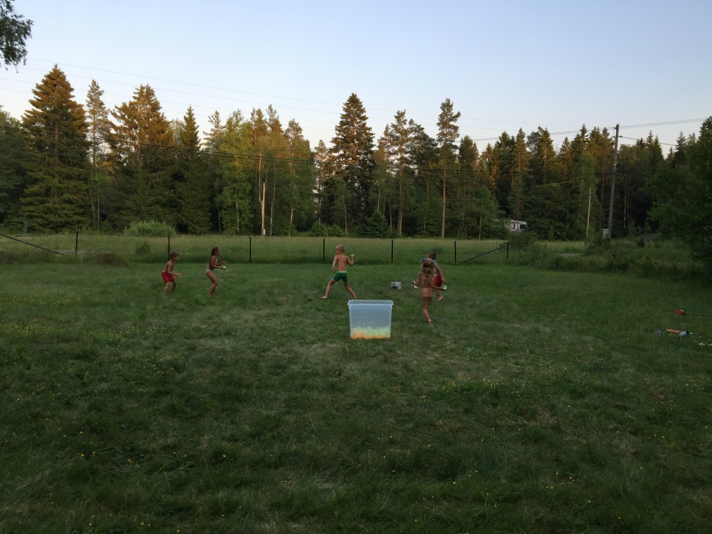 midsommar (66)