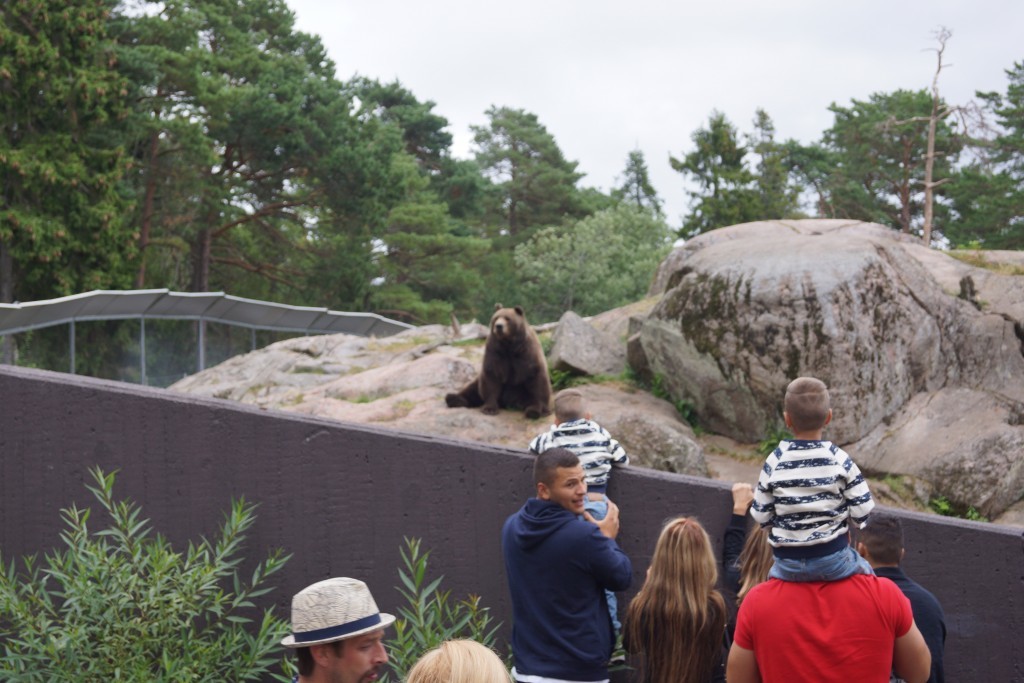 Kolmårdendjurpark (11)