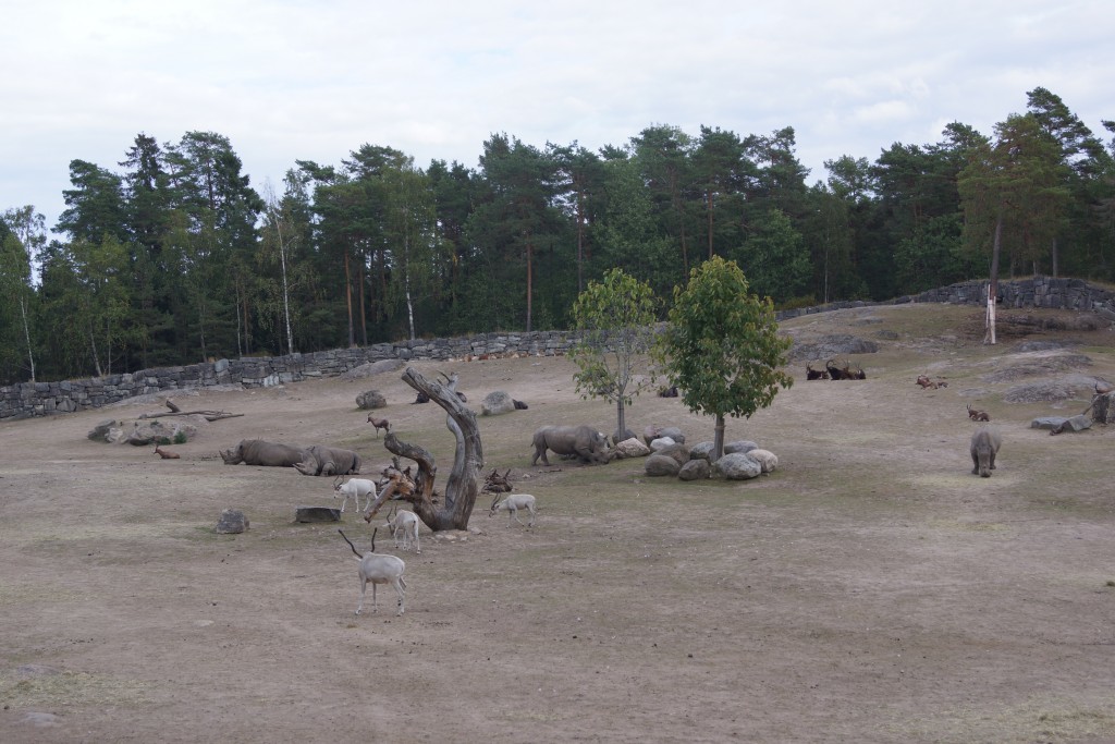 Kolmårdendjurpark (211)