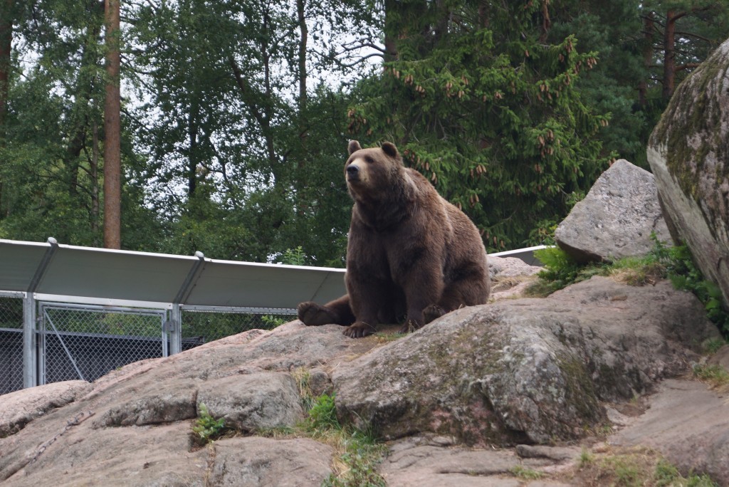 Kolmårdendjurpark (26)