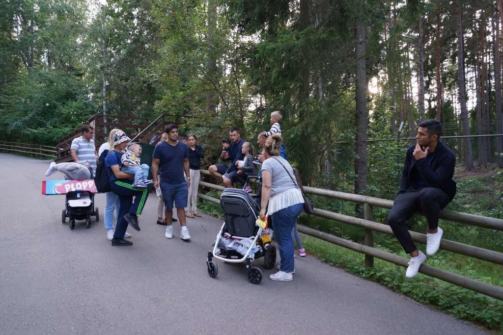 Kolmårdendjurpark (263)