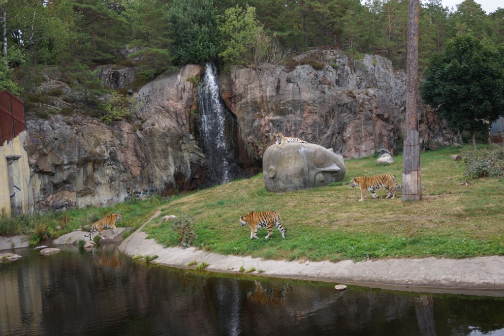 Kolmårdendjurpark (68)