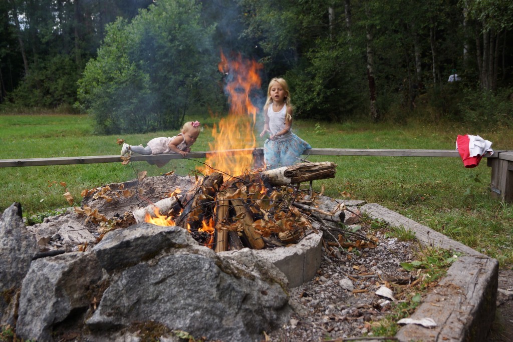 picknick i skogen (110)