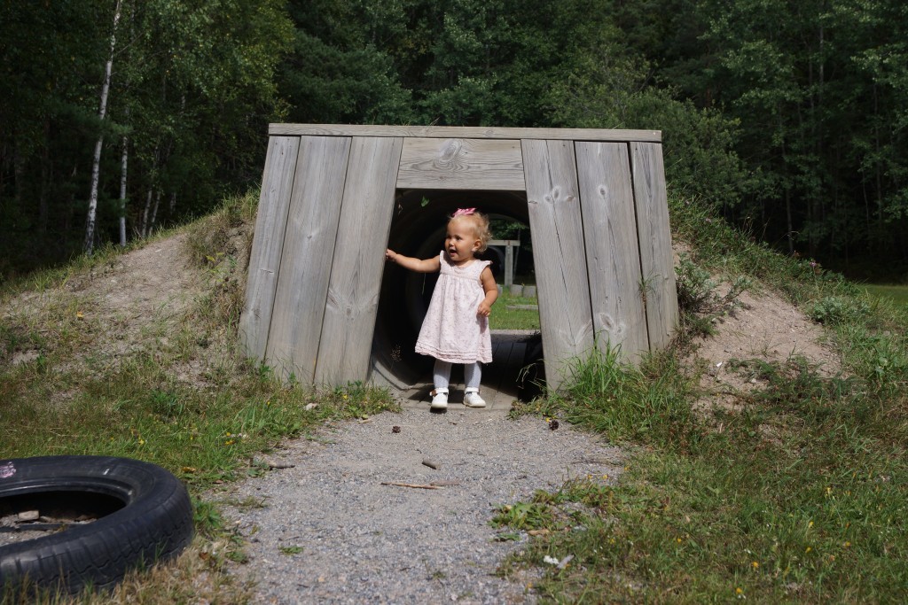 picknick i skogen (12)