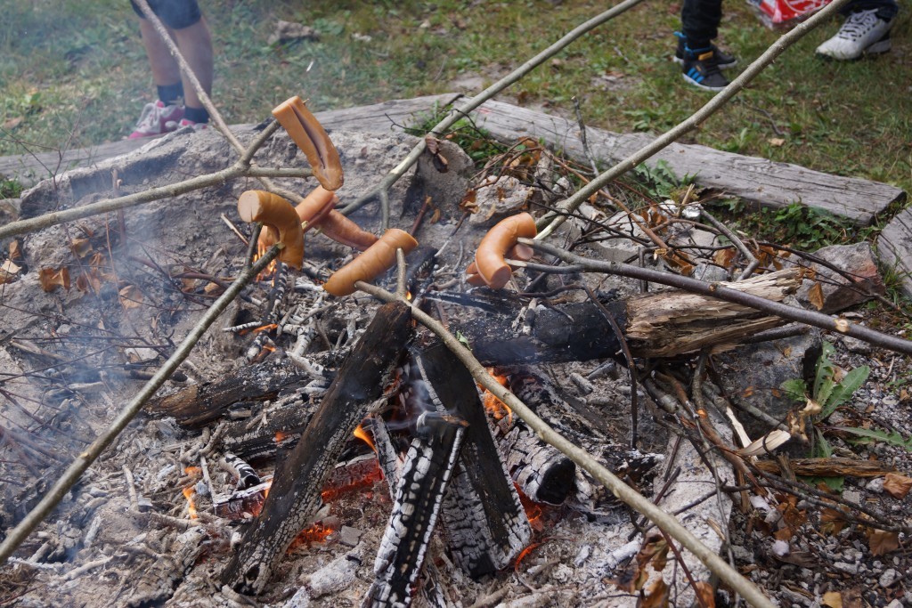 picknick i skogen (138)