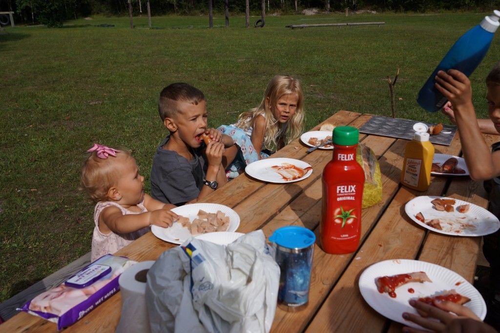 picknick i skogen (141)