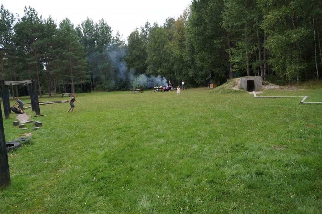 picknick i skogen (173)