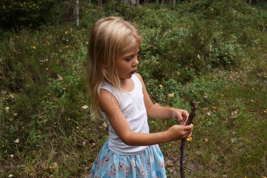 picknick i skogen (31)