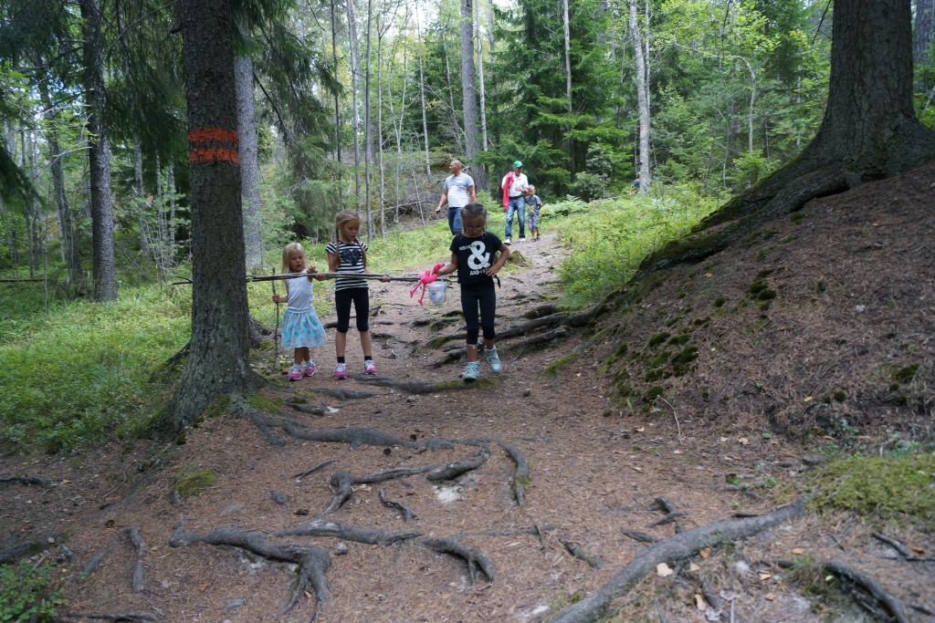 picknick i skogen (42)