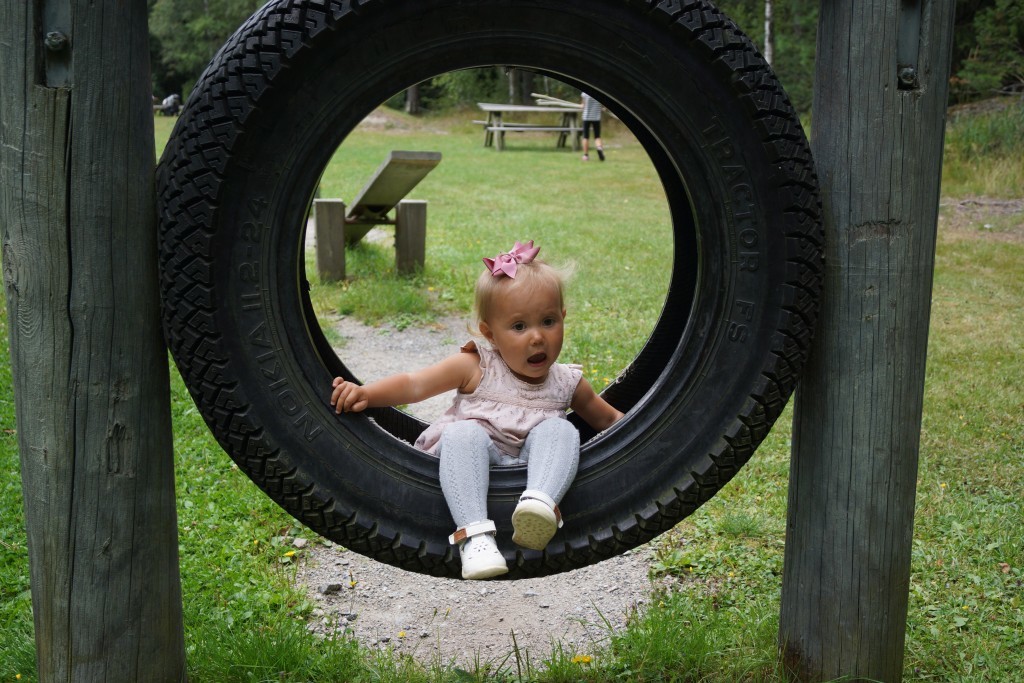 picknick i skogen (53)