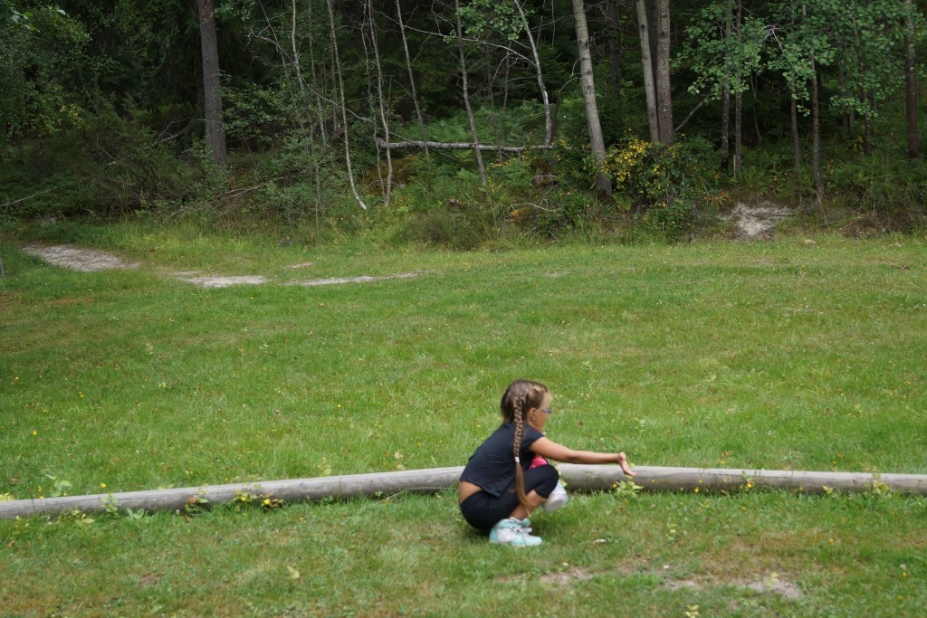 picknick i skogen (63)