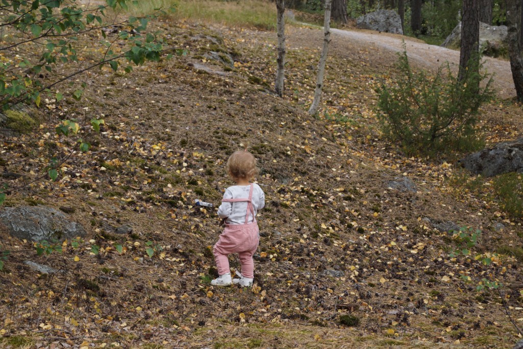 skopa vattenmelon (22)