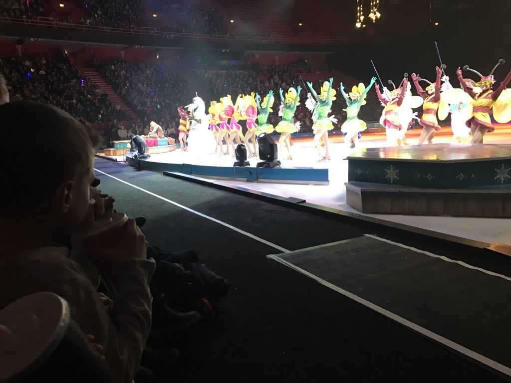 Disney On Ice 2017 (123)