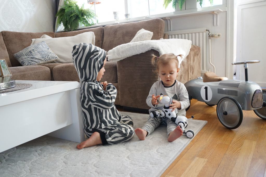 zebra kids (3)