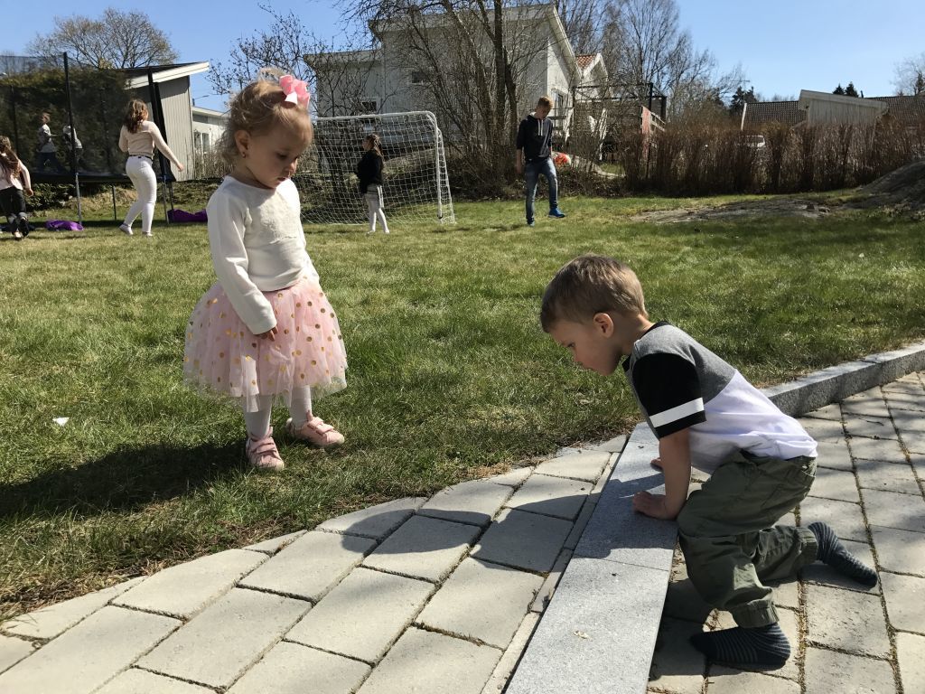 Dewin 10 år (5)