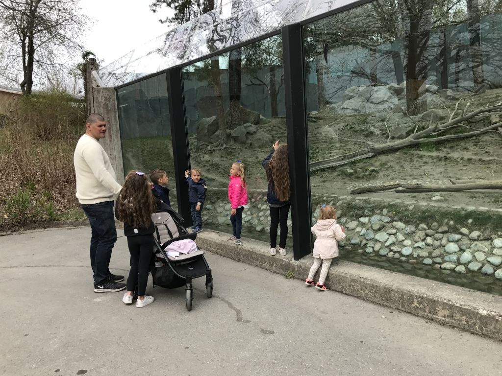 Parken Zoo (154)