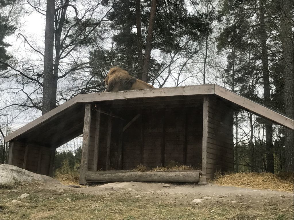 Parken Zoo (65)