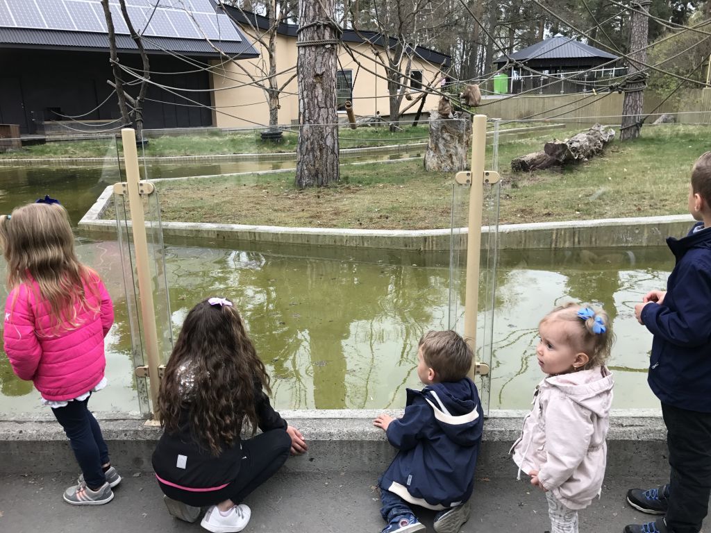 Parken Zoo (96)