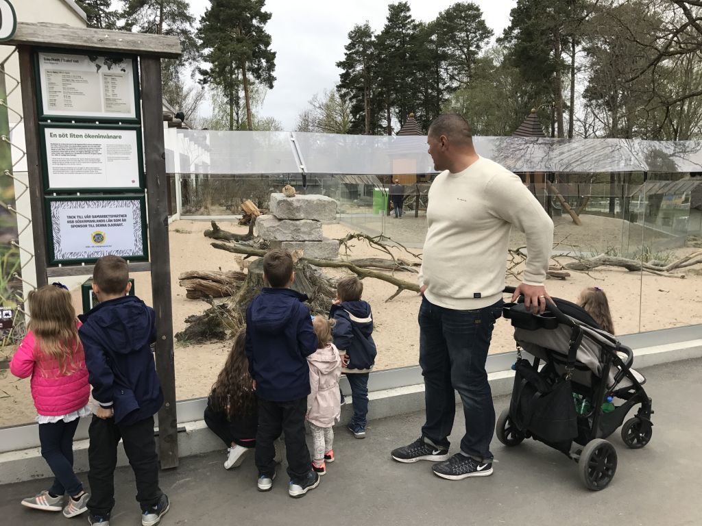 Parken Zoo (99)