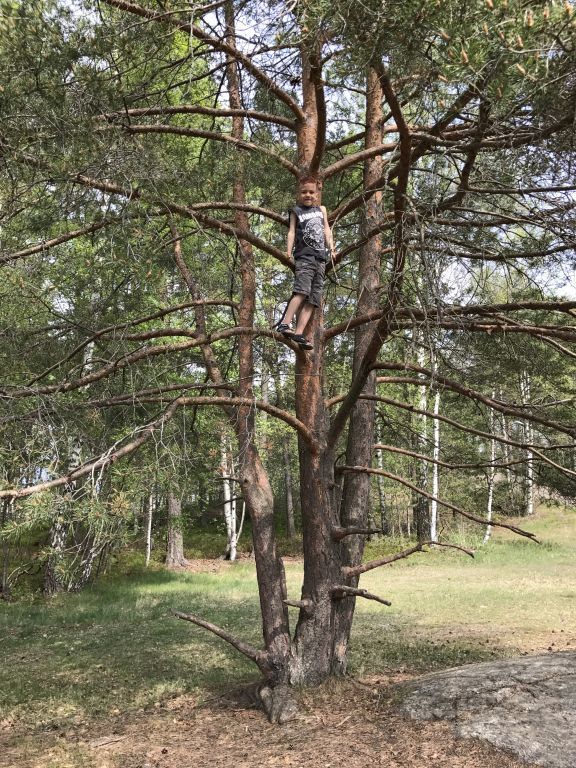 försommar i Haninge (4)