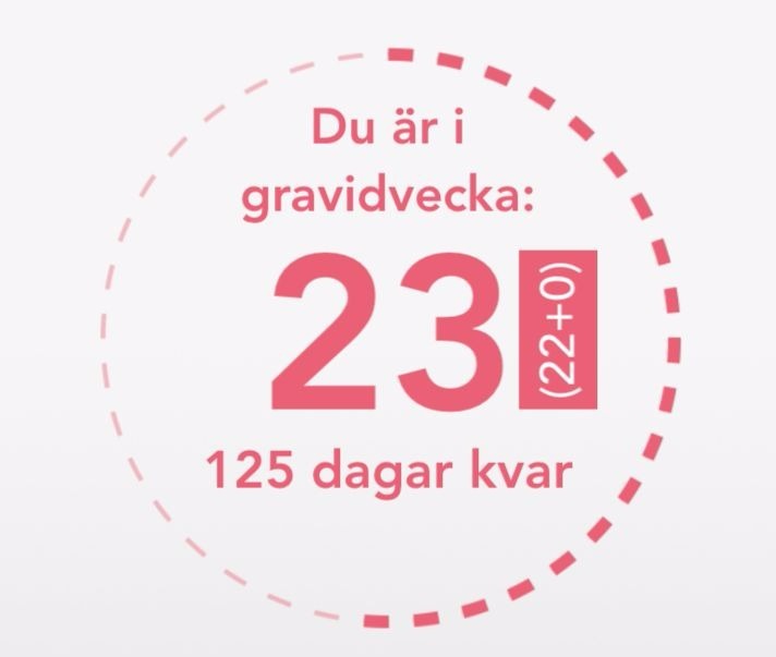 gravidvecka 23