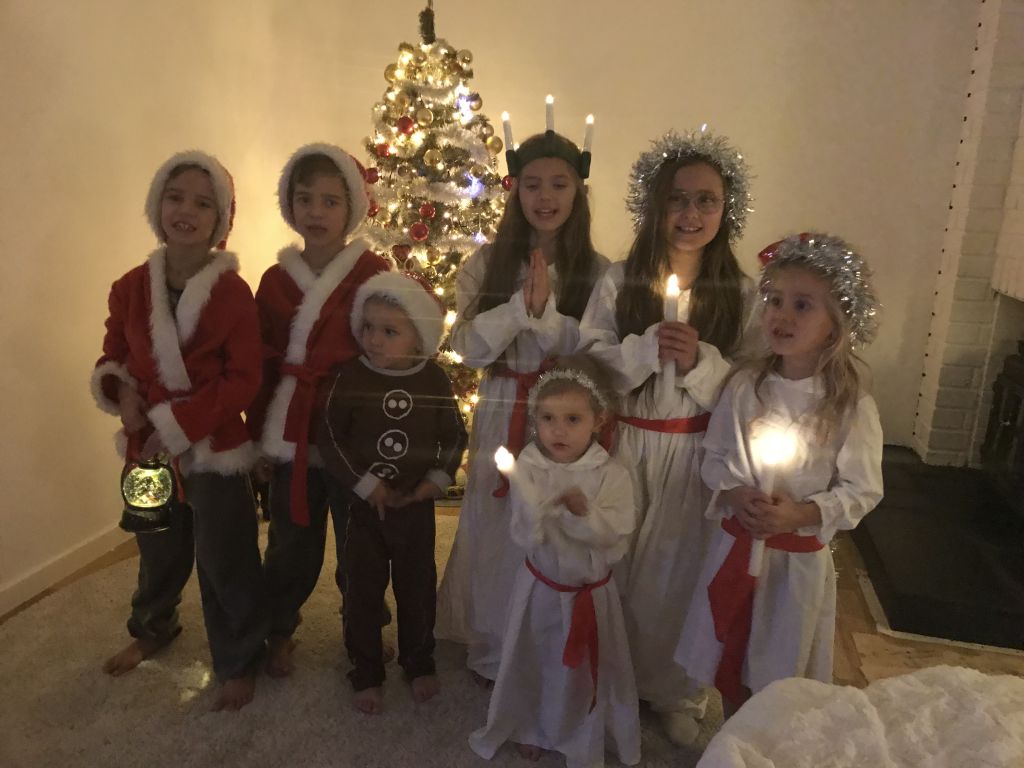 LUCIA 2017 (1)