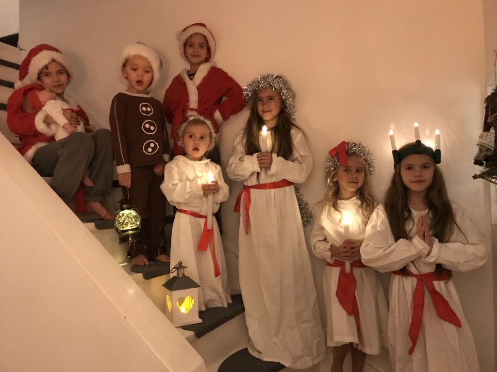 LUCIA 2017 (4)