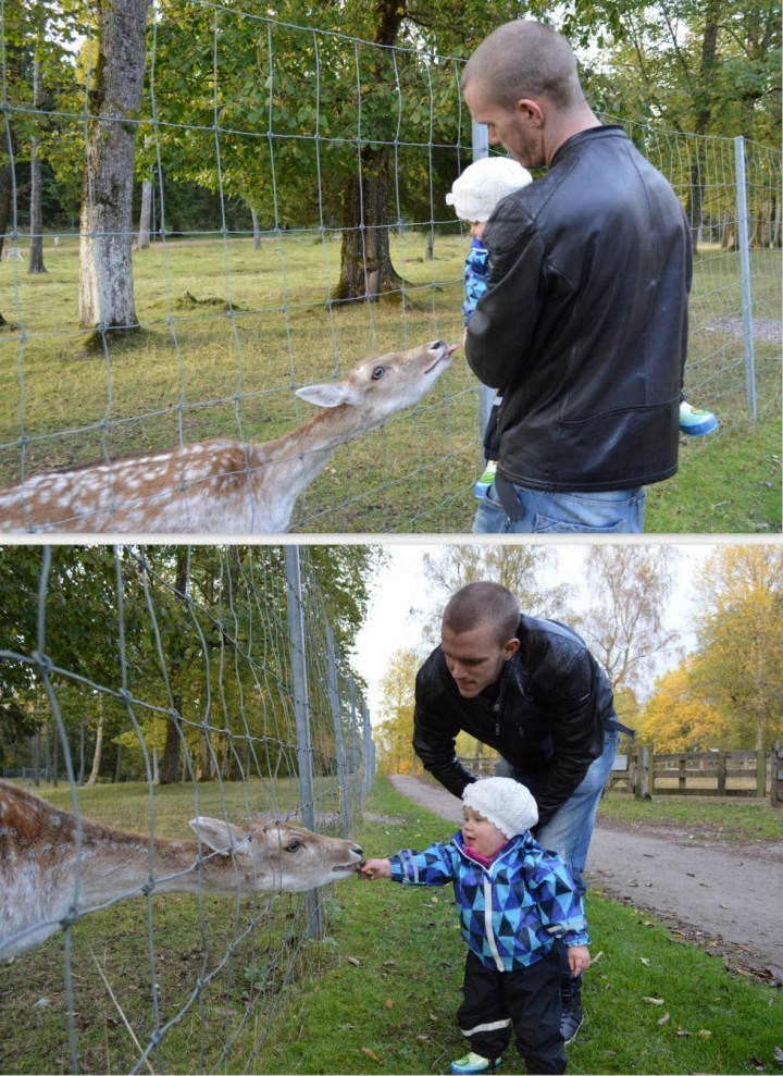 picknick på berget 13e oktober1