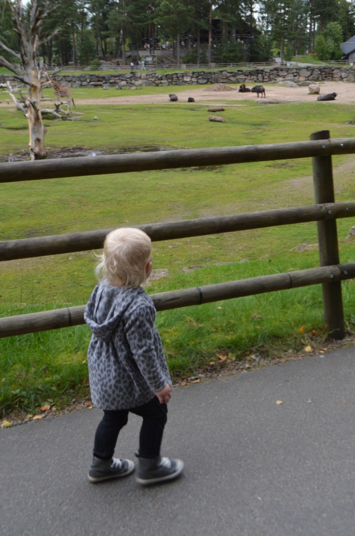 borås djurpark 6e augusti (13)