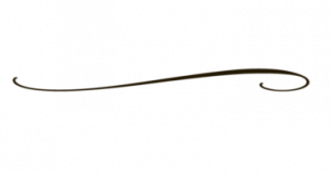 Decorative-Line-Black-PNG