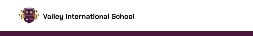 Valley International School