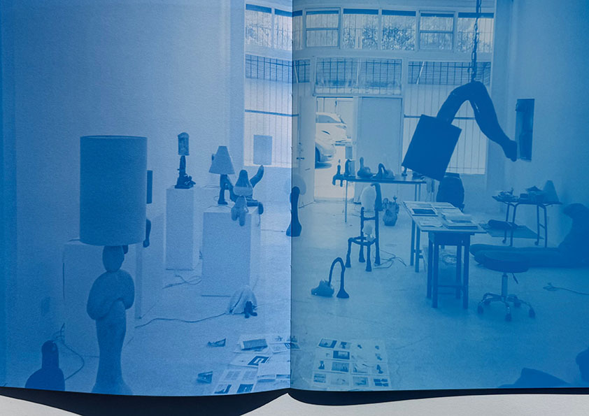 Carmen D’apollonio