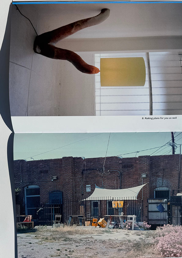 Carmen D’apollonio