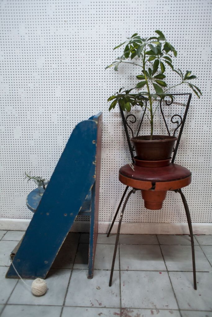 Imagen 5 de la galería de LA SOMBRA SOBRE EL TRIÁNGULO AZUL