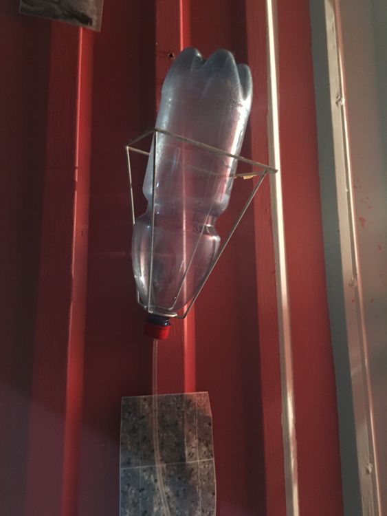 Imagen 9 de la galería de Cuccurucucú Paloma
