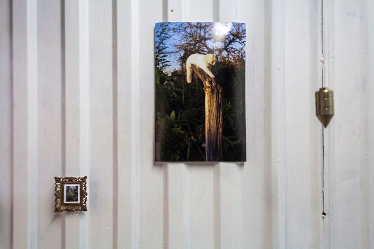 Imagen 6 de la galería de LA SOMBRA SOBRE EL TRIÁNGULO AZUL