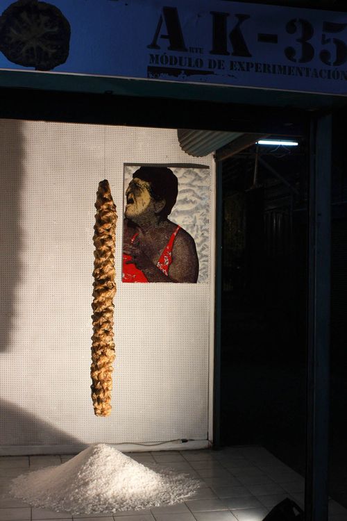 Imagen 1 de la galería de Conciencia & Secado